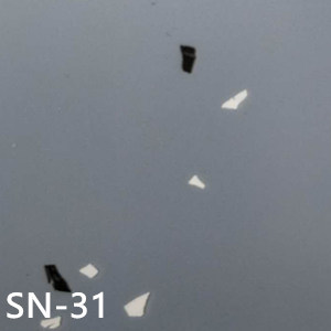 SN-31 SN-31